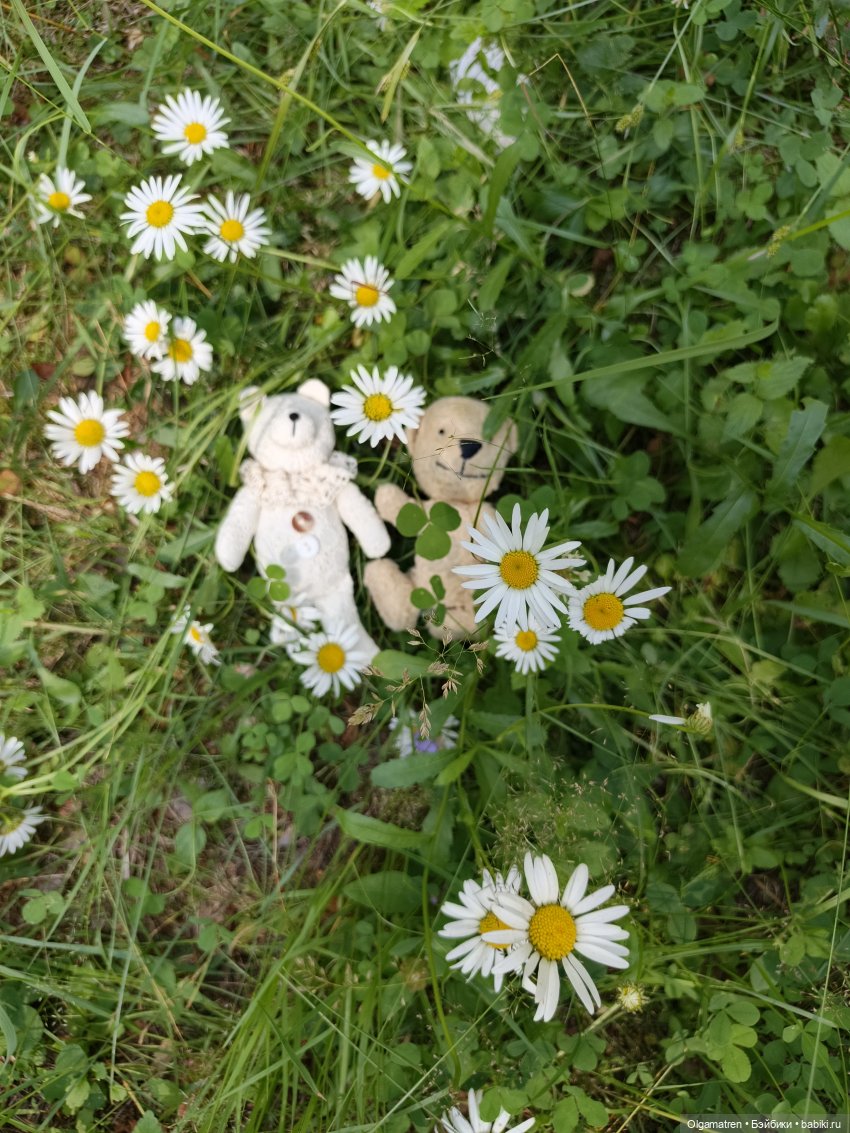 Мишки по лесу идут — Игровые куклы разных производителей (Разное): редкие бренды (фото 7)