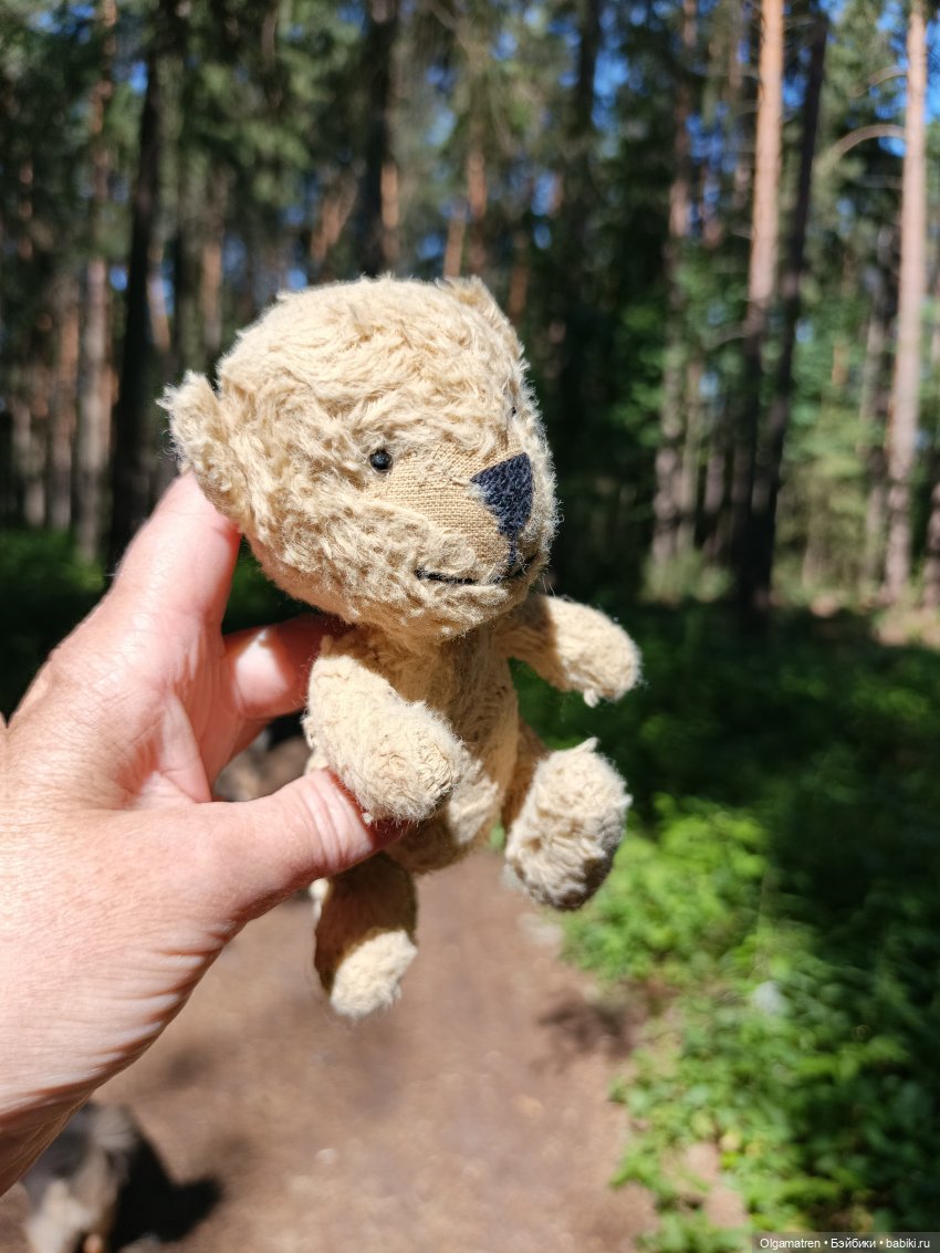 Мишки по лесу идут — Игровые куклы разных производителей (Разное): редкие бренды (фото 10)