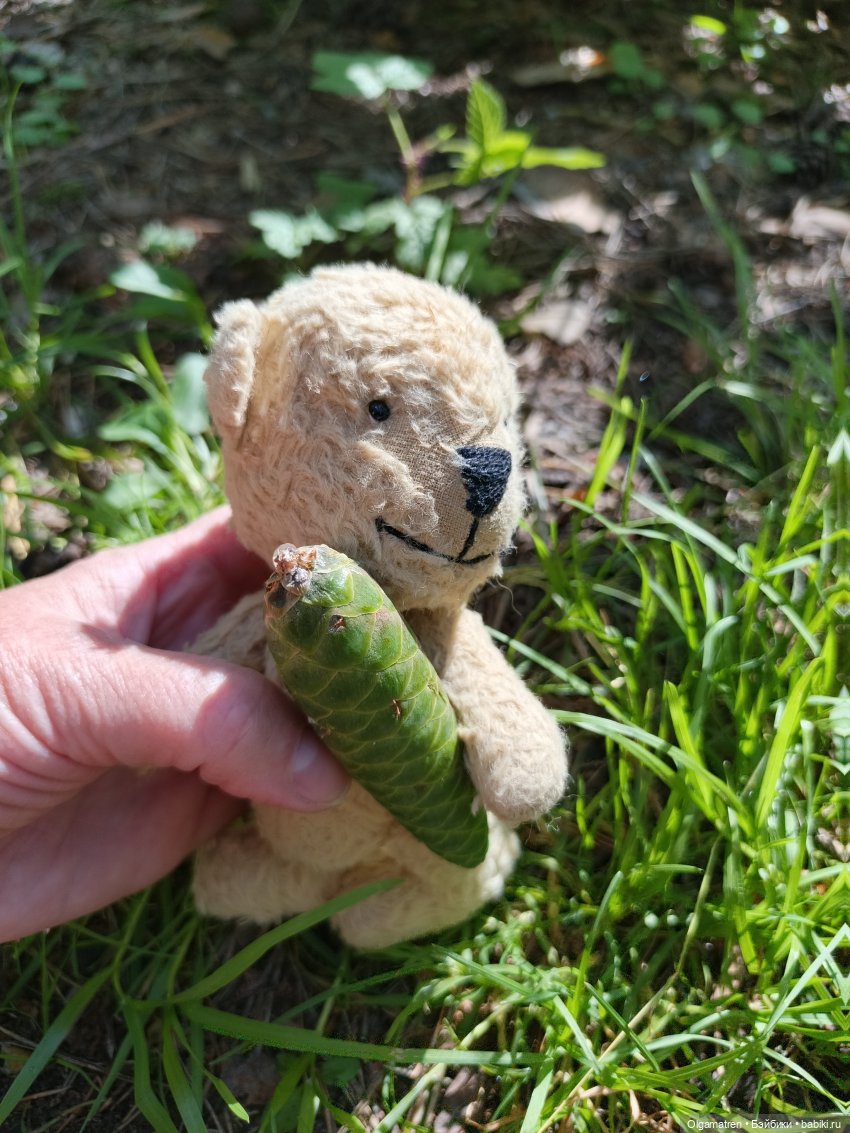 Мишки по лесу идут — Игровые куклы разных производителей (Разное): редкие бренды (фото 4)