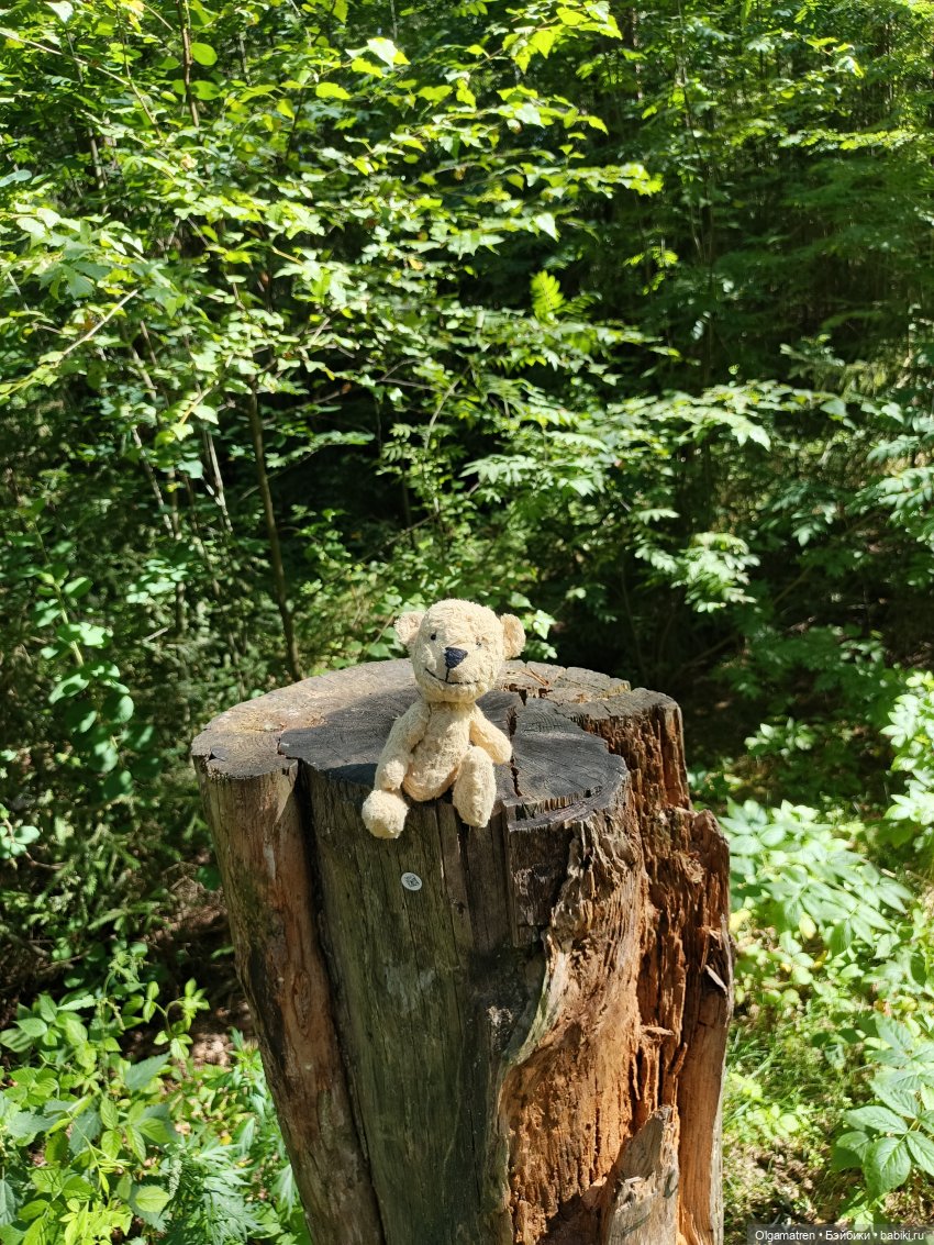 Мишки по лесу идут — Игровые куклы разных производителей (Разное): редкие бренды (фото 8)