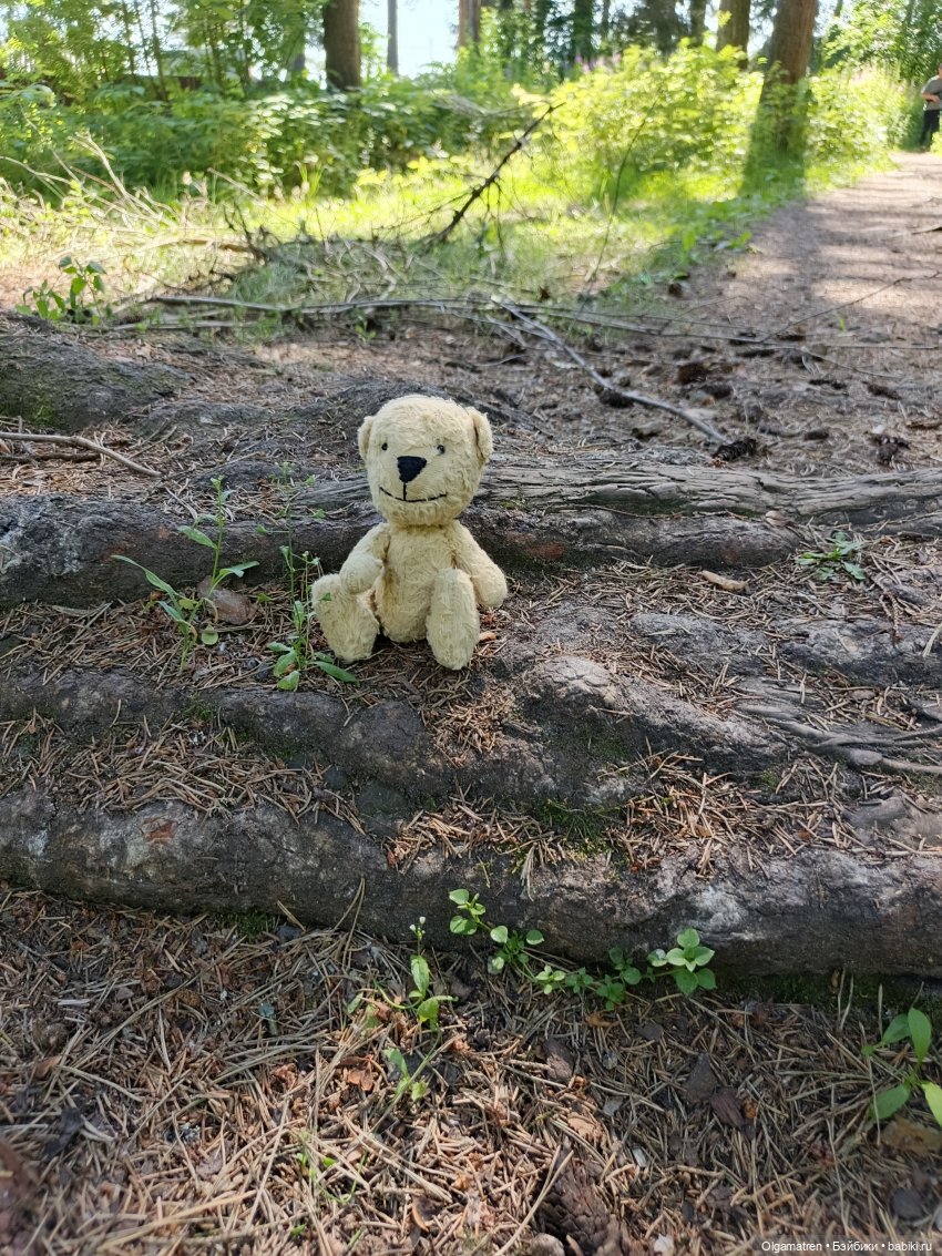 Мишки по лесу идут — Игровые куклы разных производителей (Разное): редкие бренды