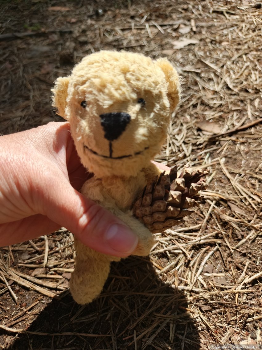 Мишки по лесу идут — Игровые куклы разных производителей (Разное): редкие бренды (фото 3)