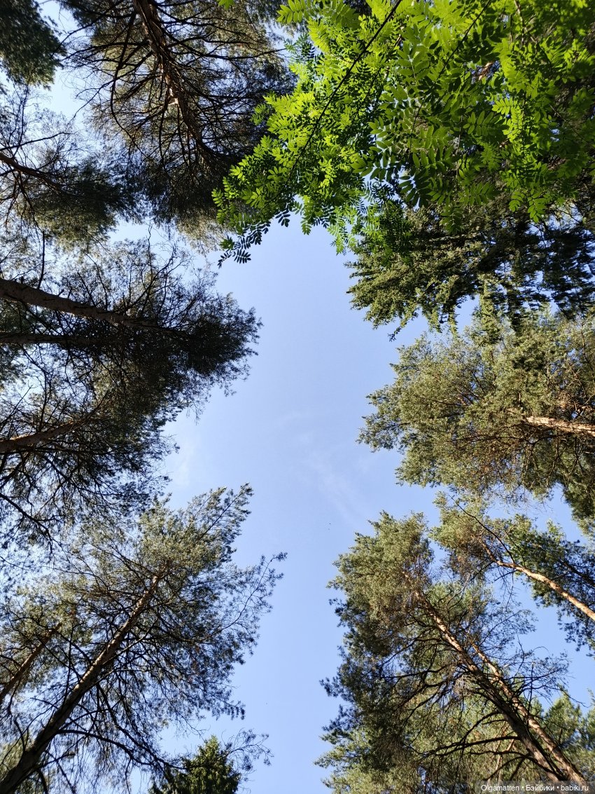 Мишки по лесу идут — Игровые куклы разных производителей (Разное): редкие бренды