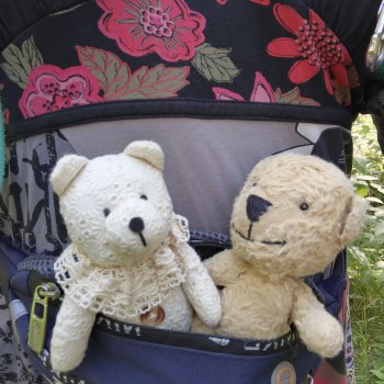 Мишки по лесу идут...