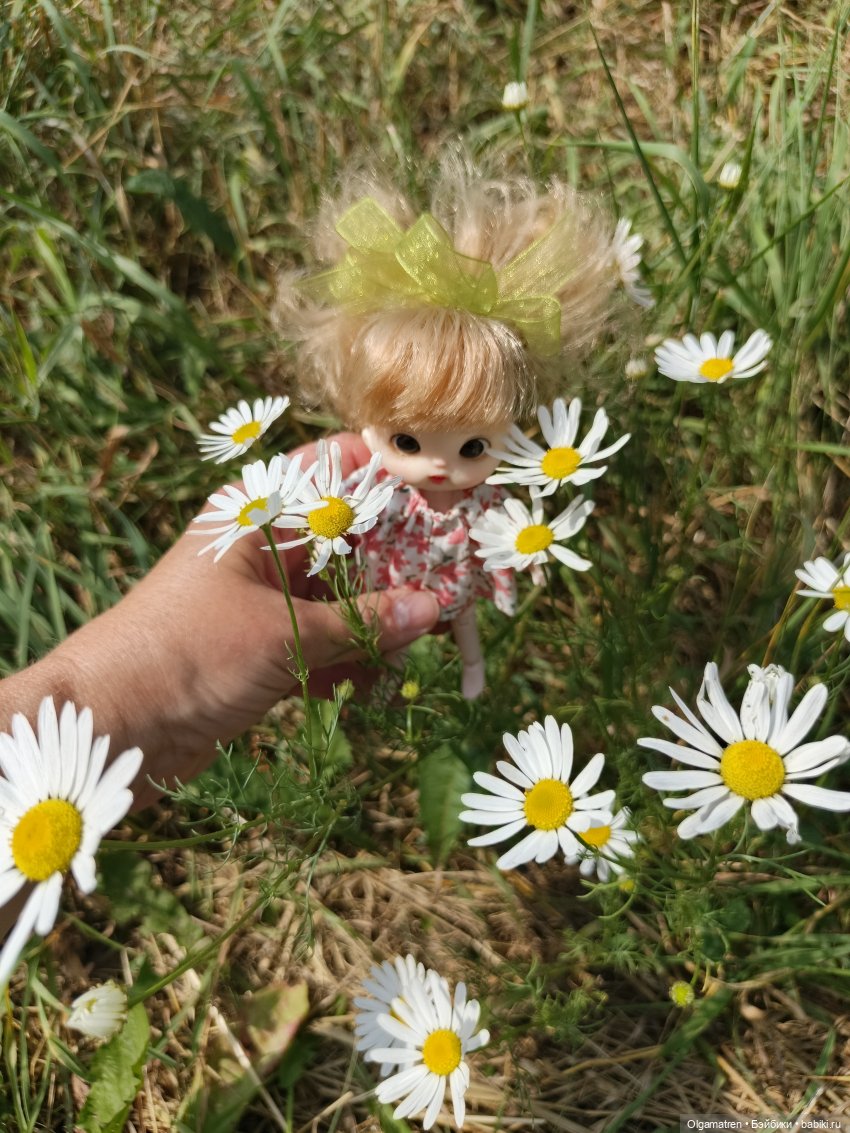 Про Лену — Игровые куклы разных производителей (Разное): редкие бренды (фото 6)