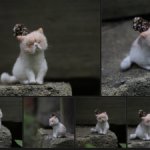 Котик ручной работы