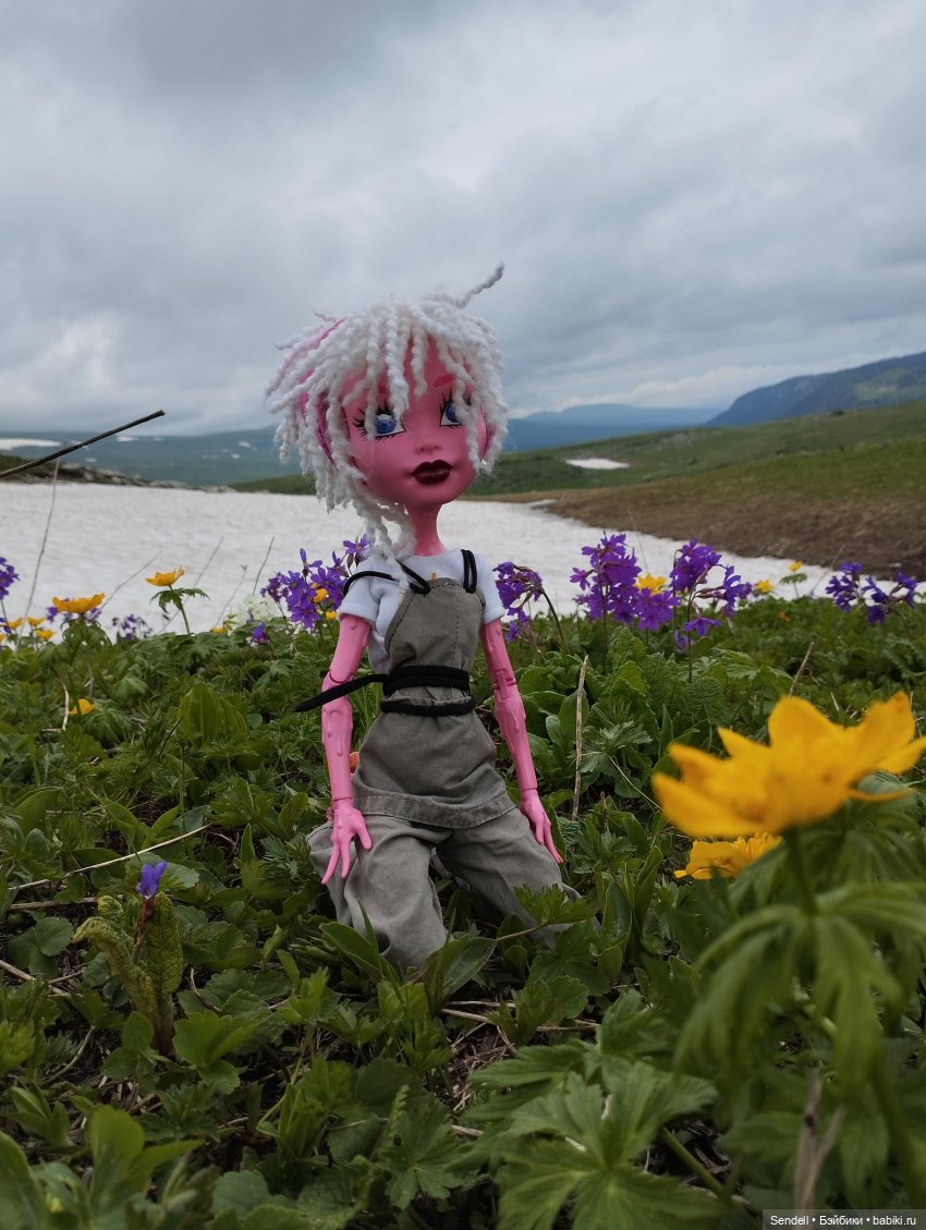 Зефирное путешествие — Куклы Monster High и Ever After High: G1 (фото 4)