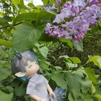 Креветко гуляет