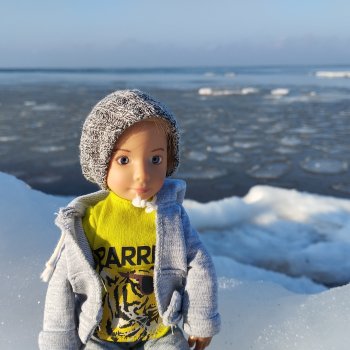 Путешествие Карла Густава