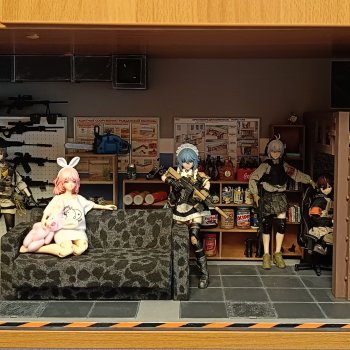 Жизнь в румбоксе. Убежище.