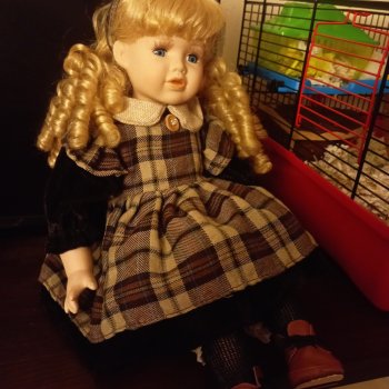 Помогите пожалуйста определить куклу