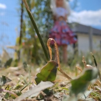 Вдохновение