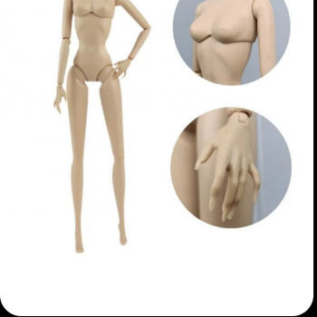 Тела псевдоинтегрити