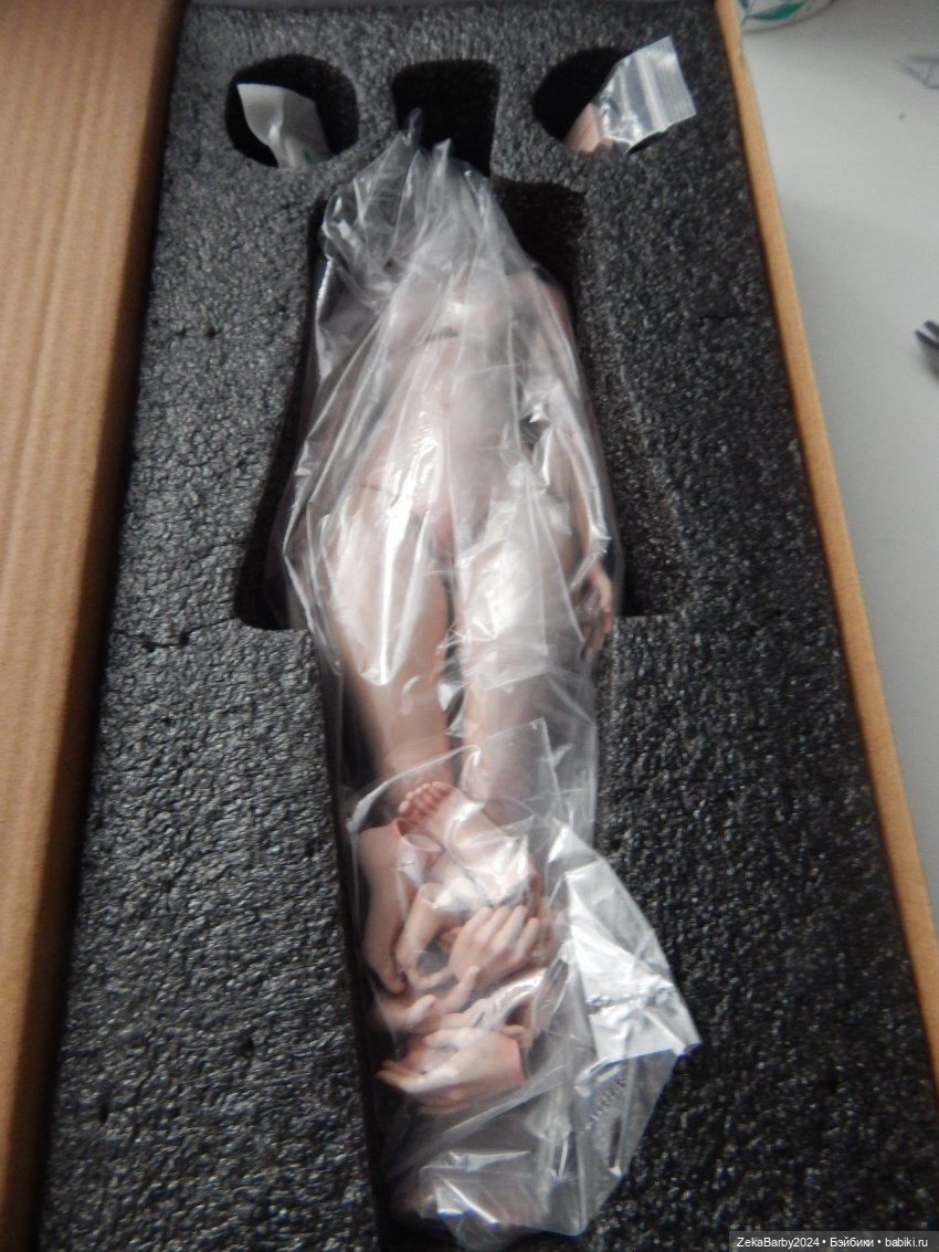 тело и допы тело и допы