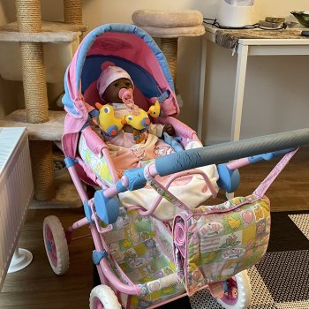 Коляска Baby Born от Zapf Creation