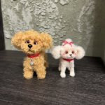 Собачки ❤️