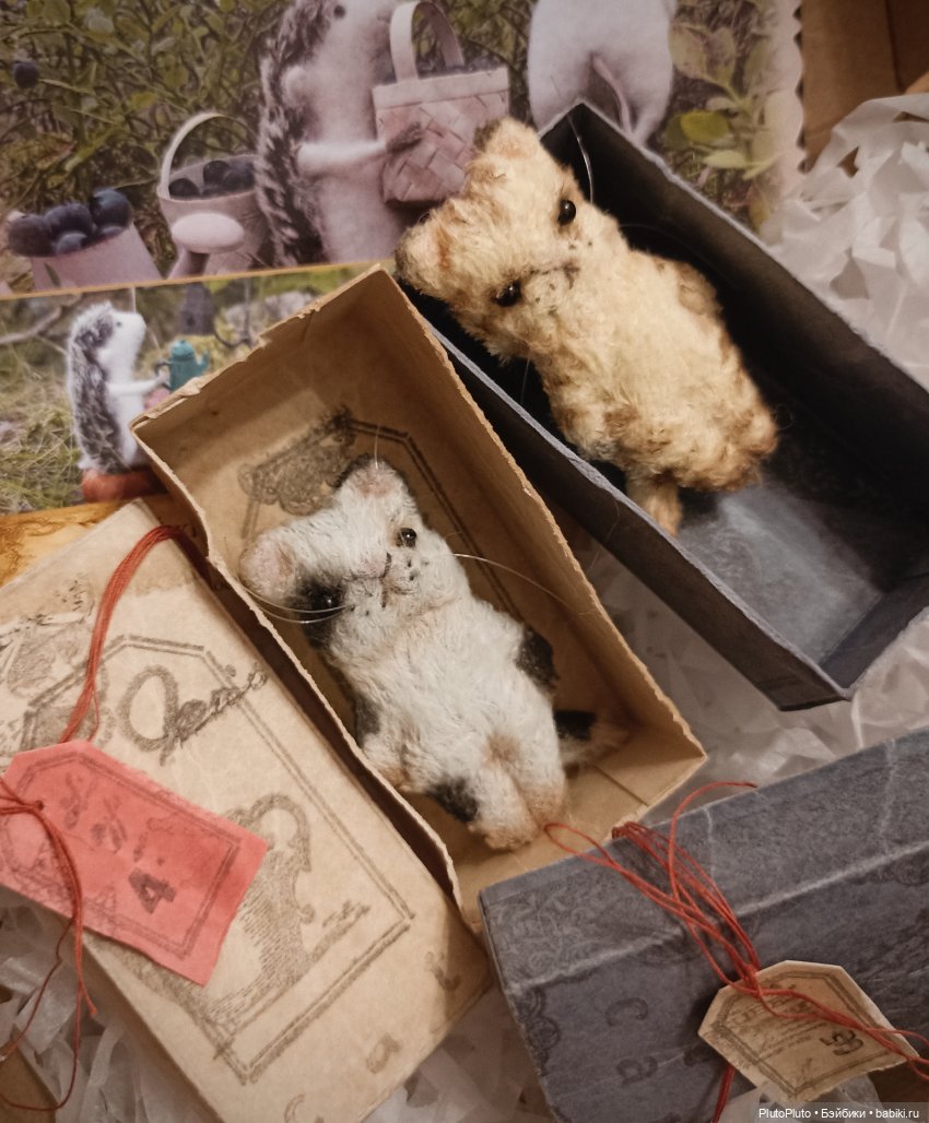 Котятки для теленка — Фотоистории с куклами BJD (БЖД): сериалы (фото 2)