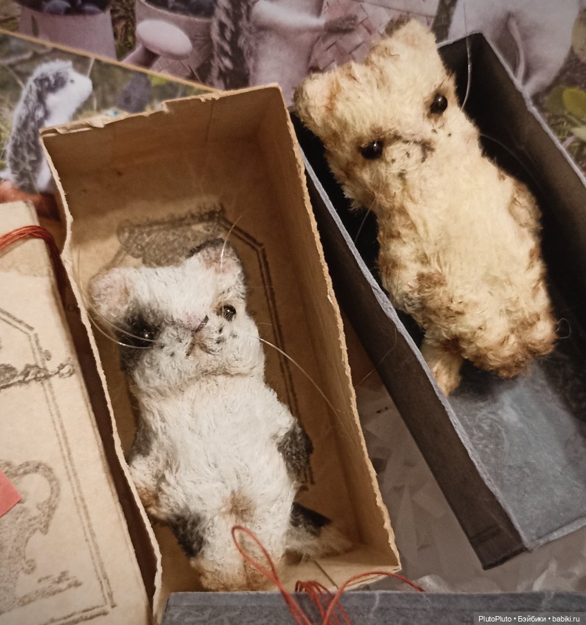 Котятки для теленка — Фотоистории с куклами BJD (БЖД): сериалы (фото 3)