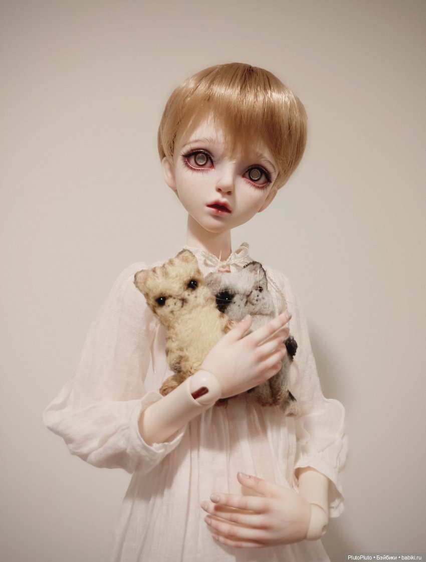 Котятки для теленка — Фотоистории с куклами BJD (БЖД): сериалы (фото 5)