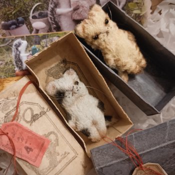 Котятки для теленка