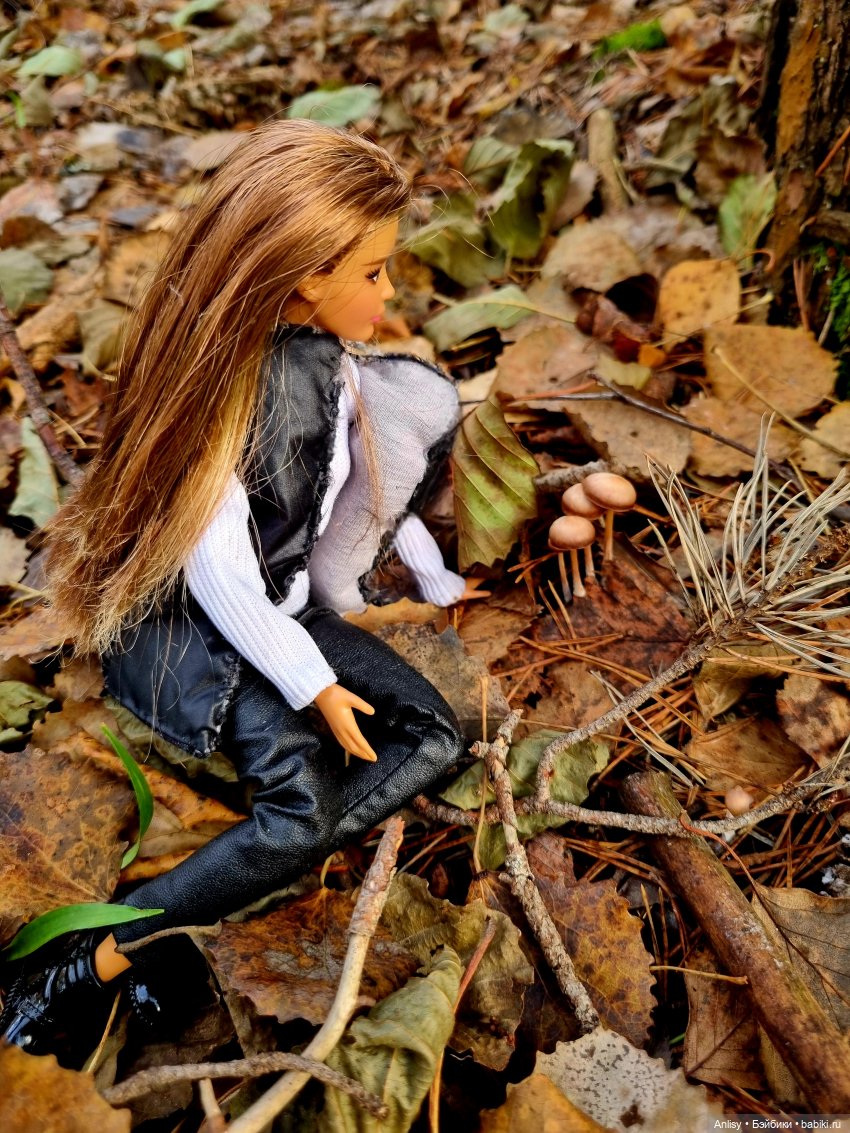 Дэн и Марго. Прогулка — Куклы Barbie (Барби): Looks