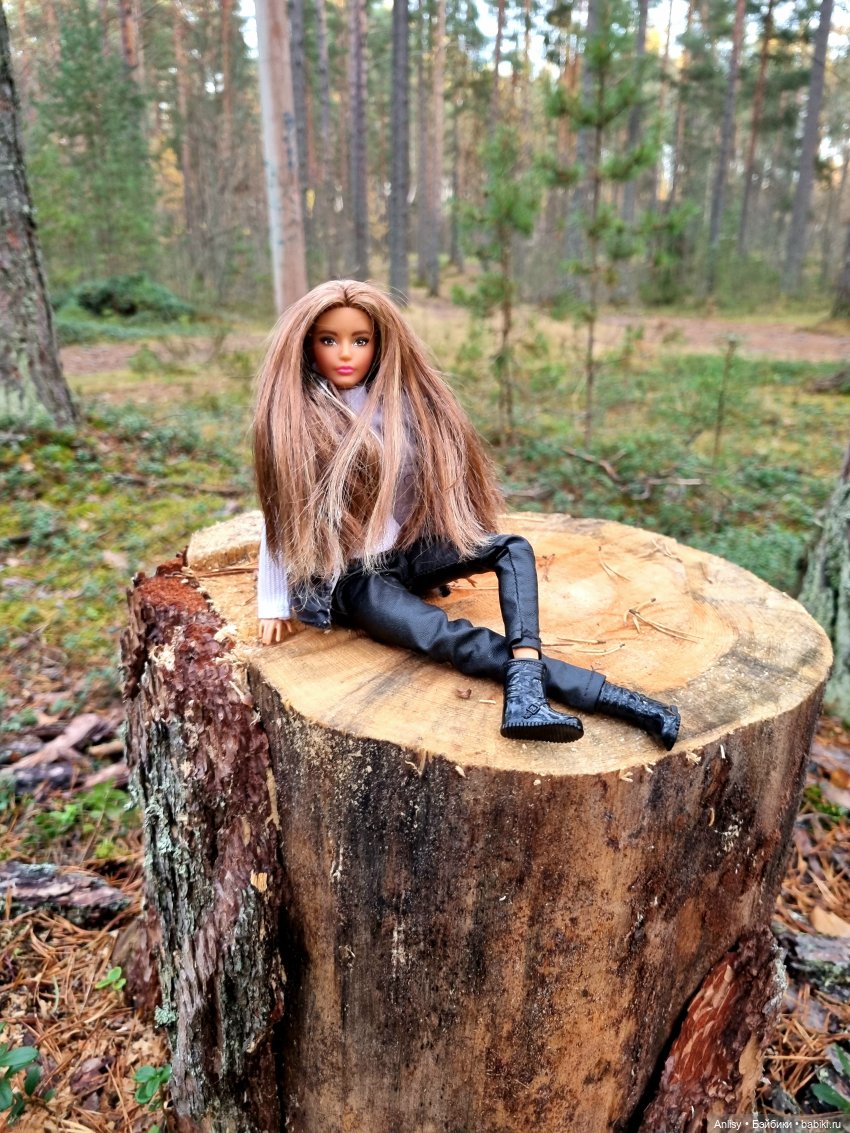 Дэн и Марго. Прогулка — Куклы Barbie (Барби): Looks