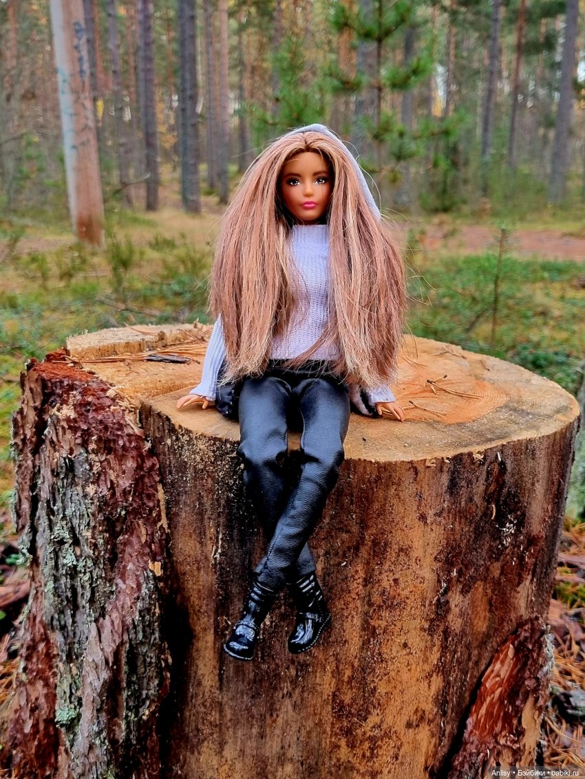 Дэн и Марго. Прогулка — Куклы Barbie (Барби): Looks