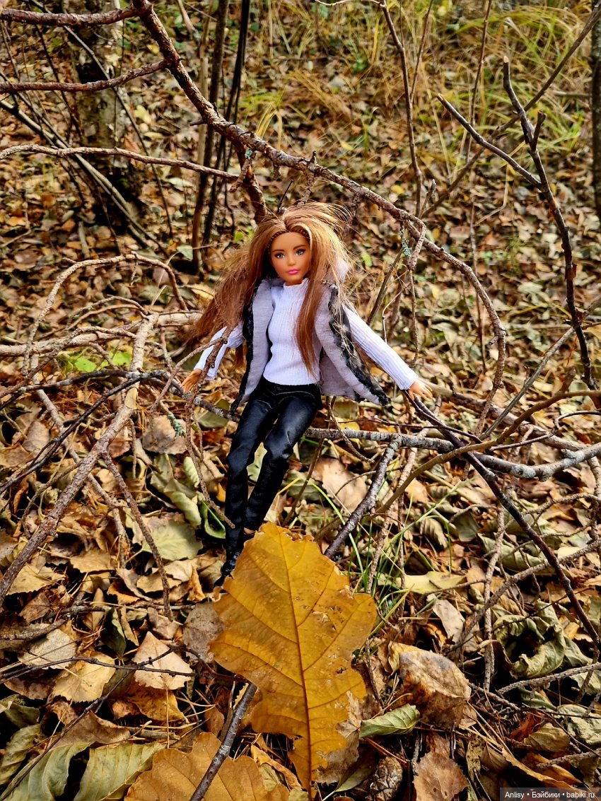 Дэн и Марго. Прогулка — Куклы Barbie (Барби): Looks