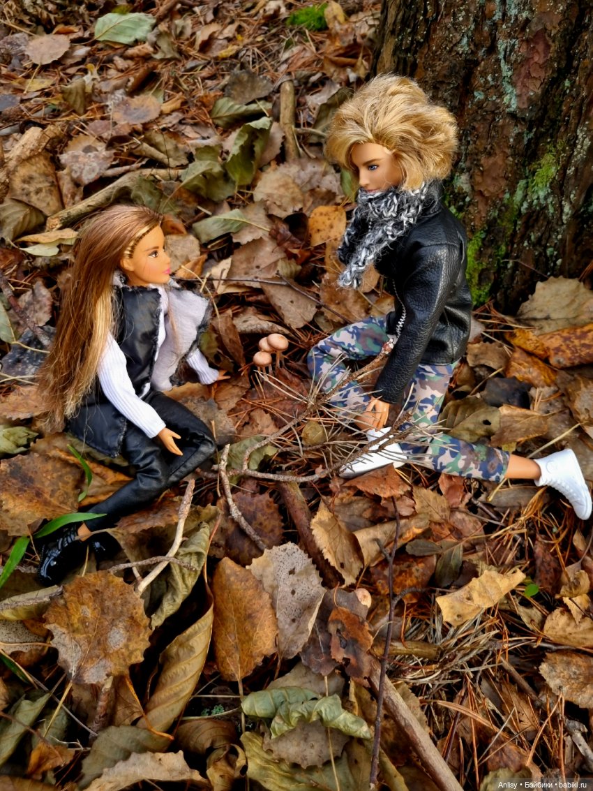 Дэн и Марго. Прогулка — Куклы Barbie (Барби): Looks