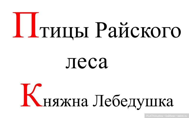 Птицы Райского леса. Княжна Лебедушка Часть 1