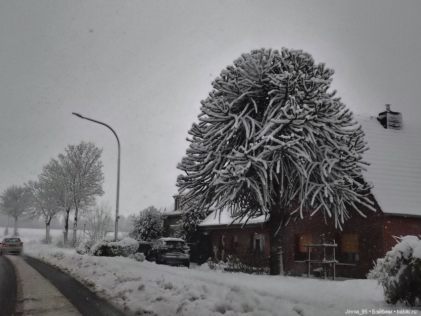 Мама, мама, я приехала | Бэйбики Мама, мама, я приехала — Куклы Iplehouse (Иплхаус): BJD (БЖД)