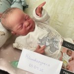 кукла реборн premie rosie by Laura Lee Eagles