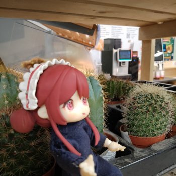 Поход за вкусняшками