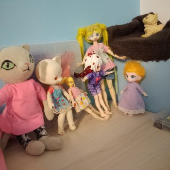 Волшебмаг Школа заселение.