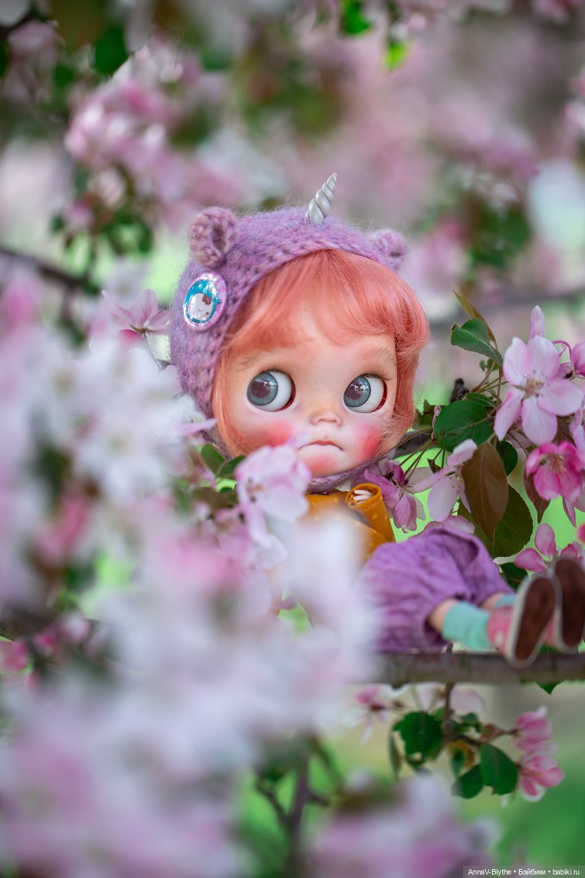 Коллекция кастомов Blythe