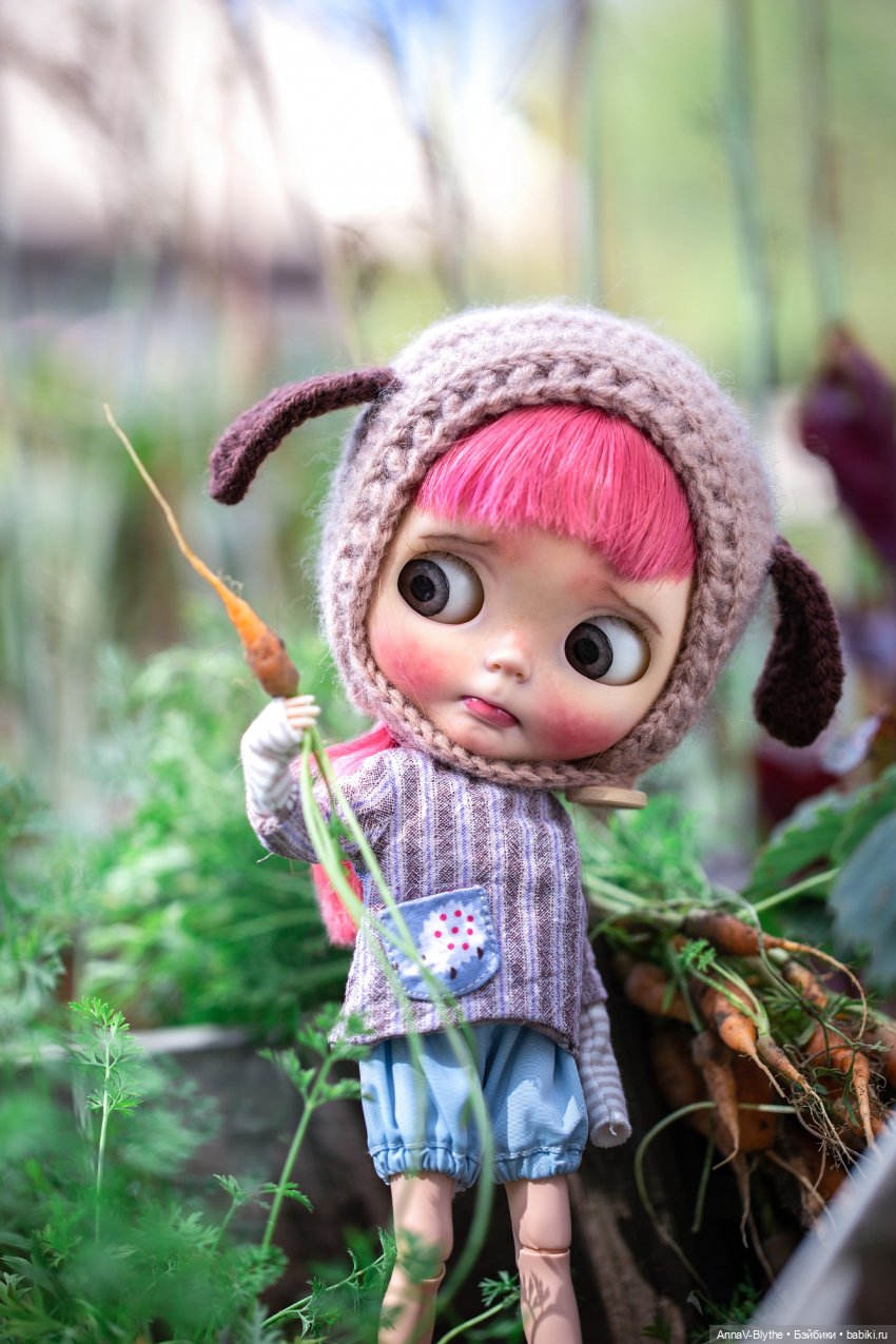 Коллекция кастомов Blythe