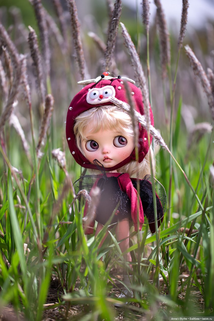Коллекция кастомов Blythe