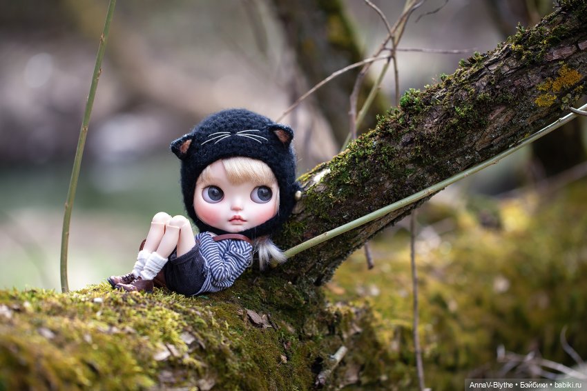Коллекция кастомов Blythe