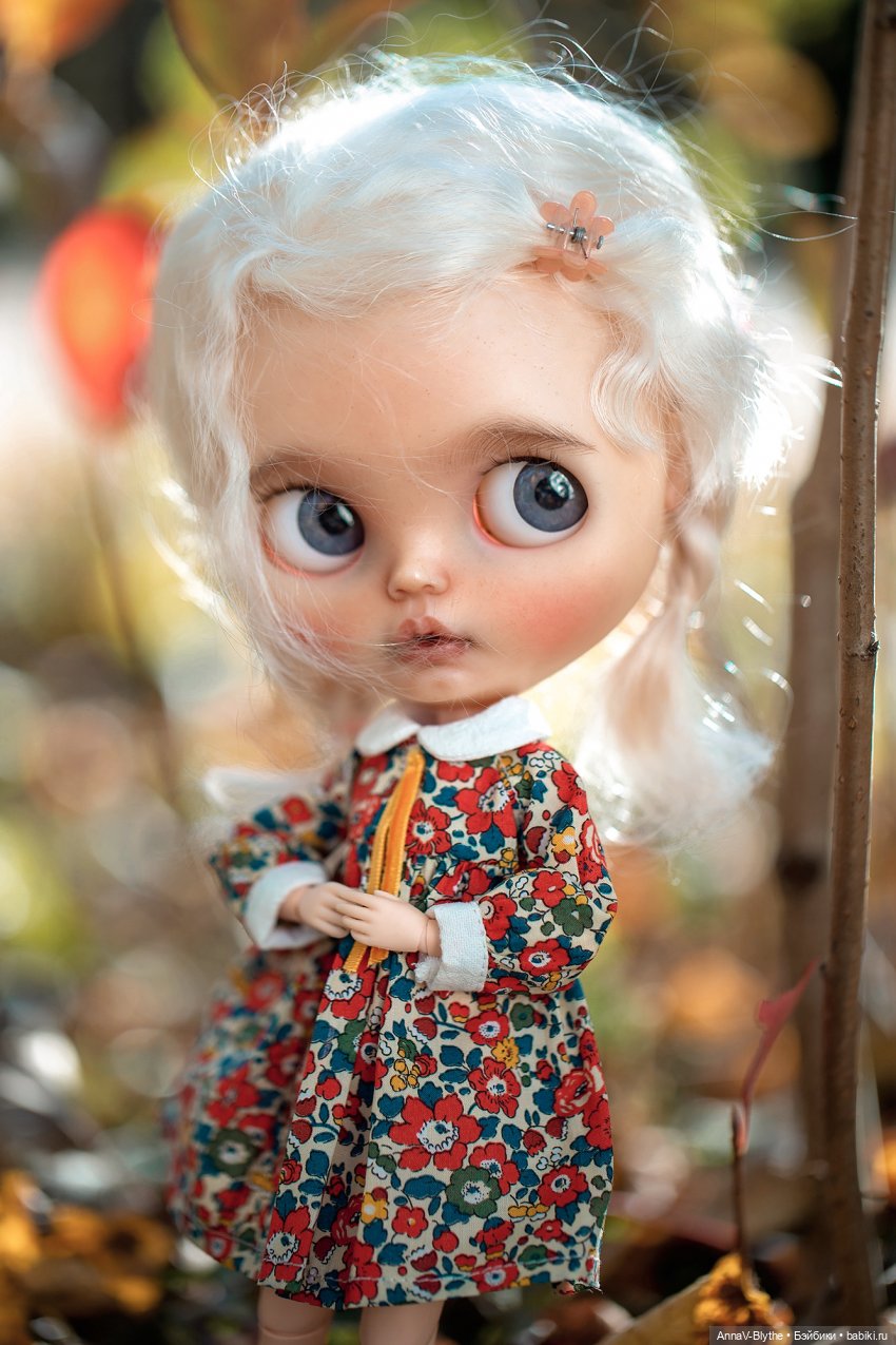 Коллекция кастомов Blythe