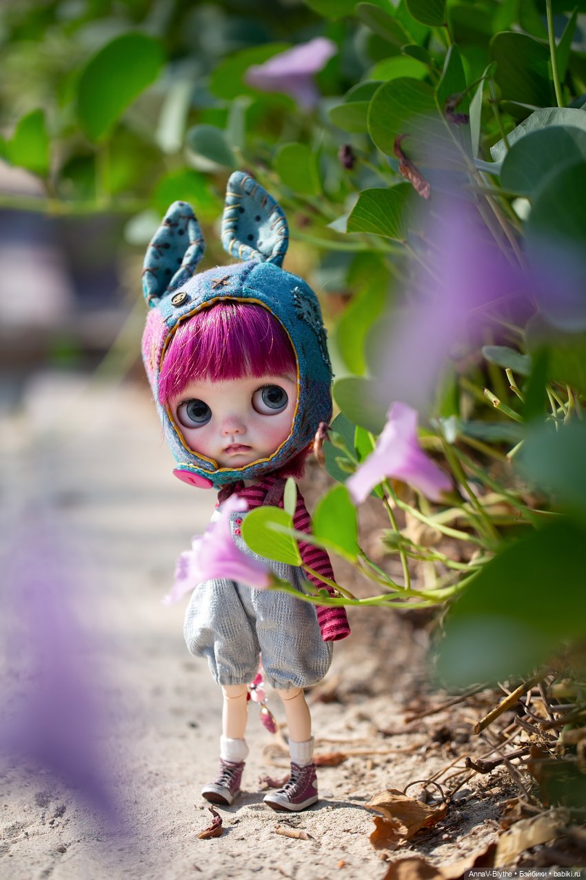 Коллекция кастомов Blythe