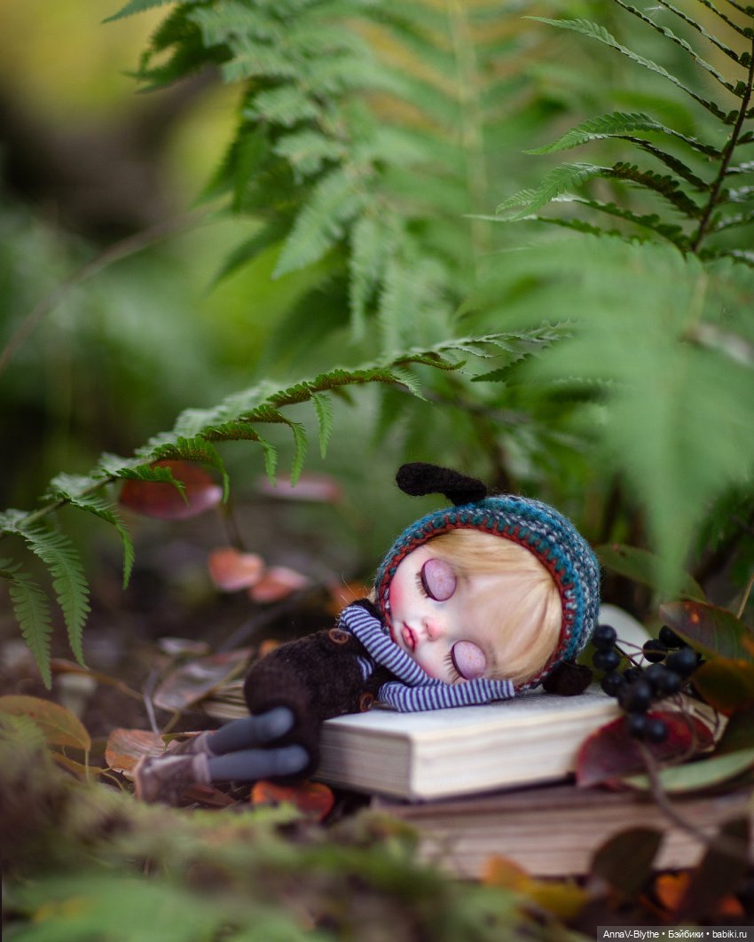 Коллекция кастомов Blythe