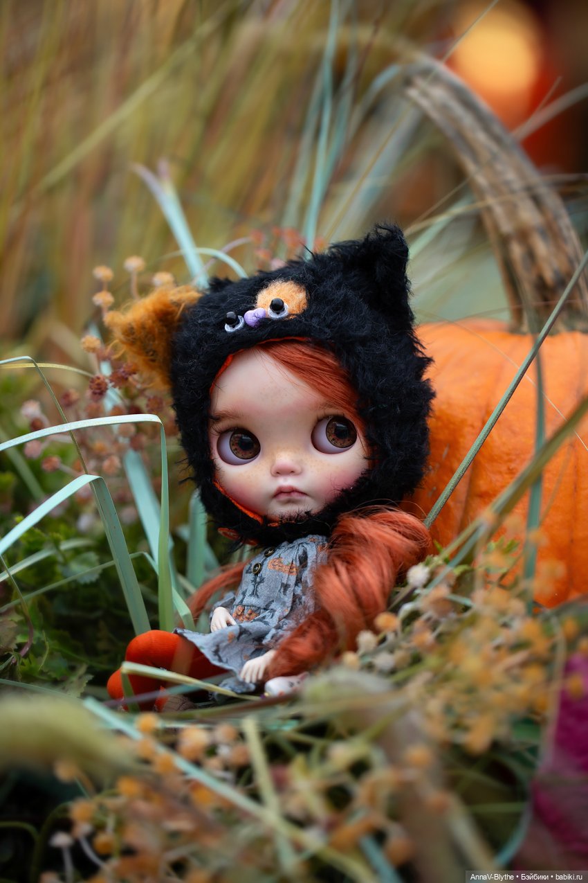 Коллекция кастомов Blythe