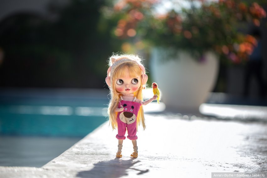 Коллекция кастомов Blythe