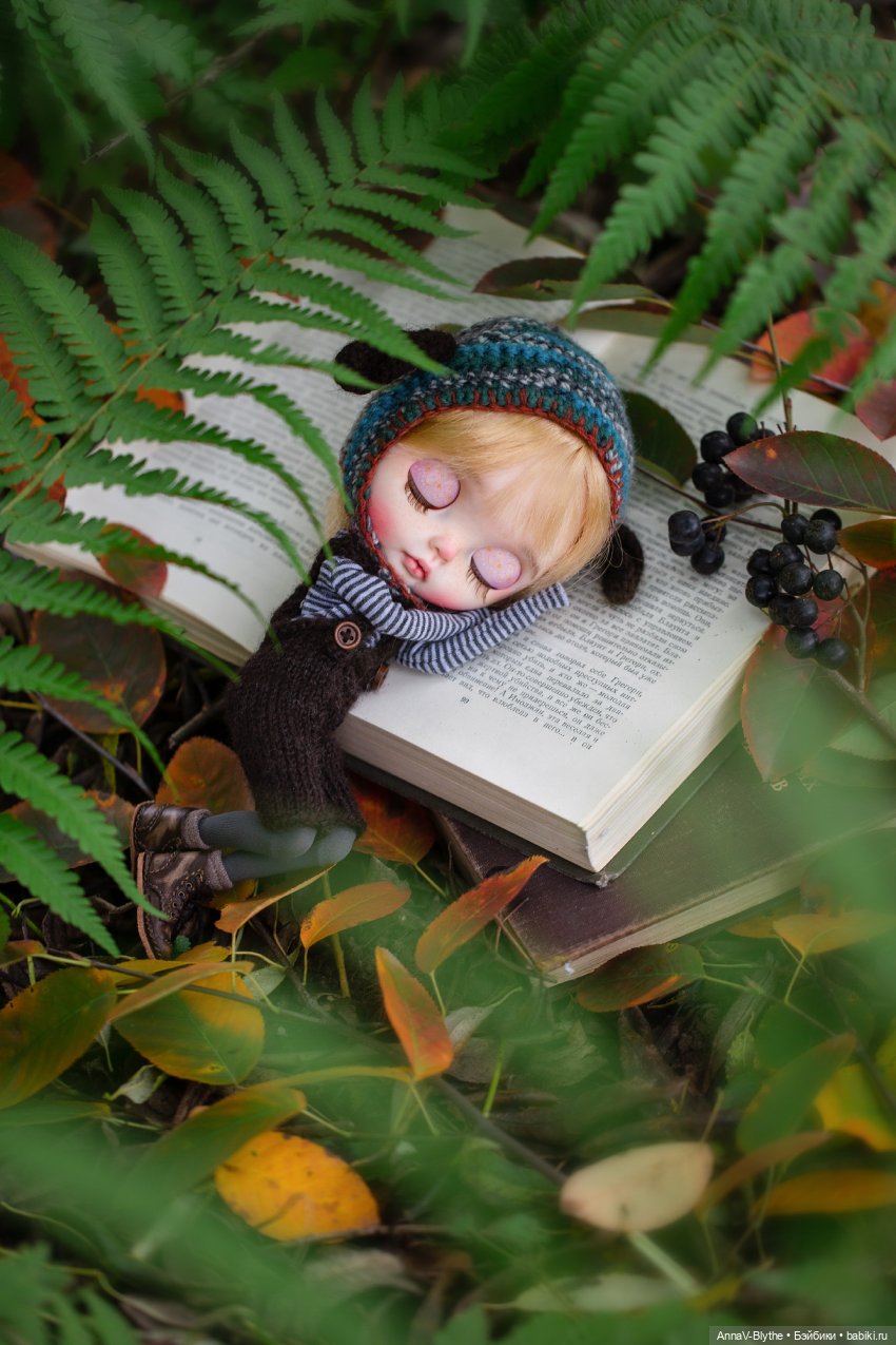 Коллекция кастомов Blythe