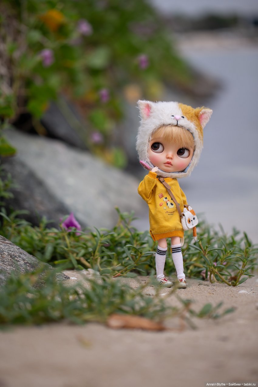 Коллекция кастомов Blythe