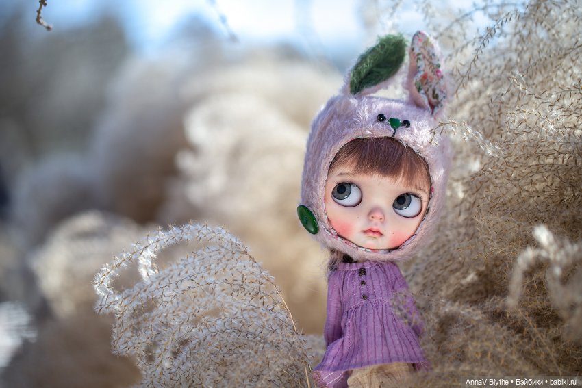 Коллекция кастомов Blythe