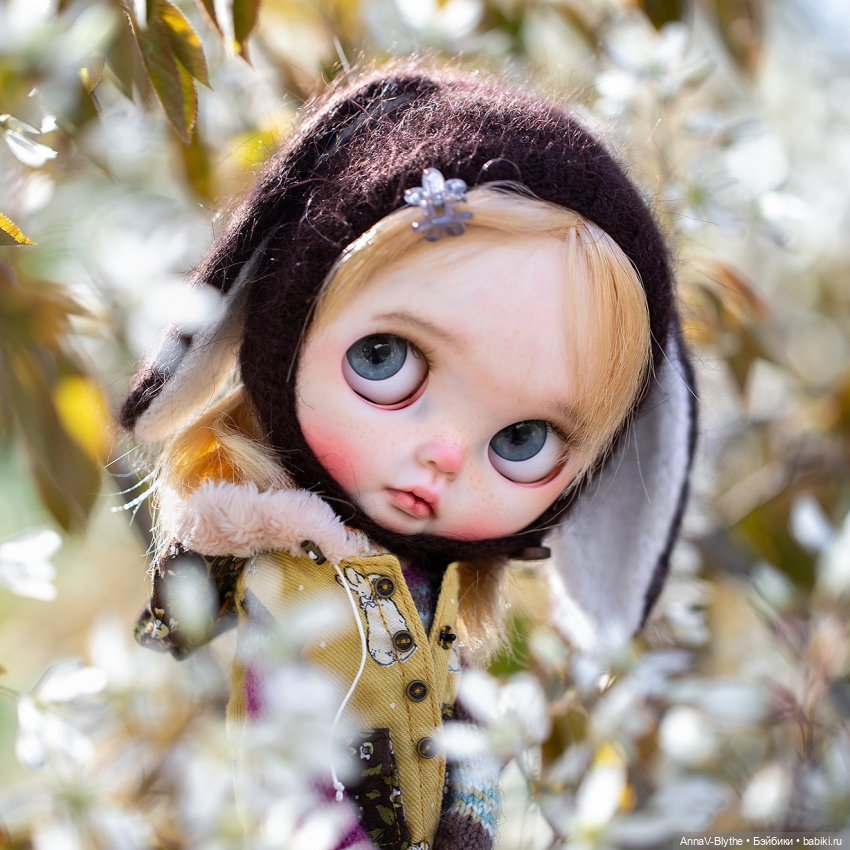 Коллекция кастомов Blythe
