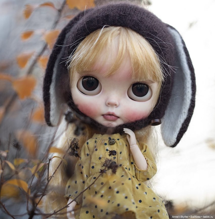 Коллекция кастомов Blythe