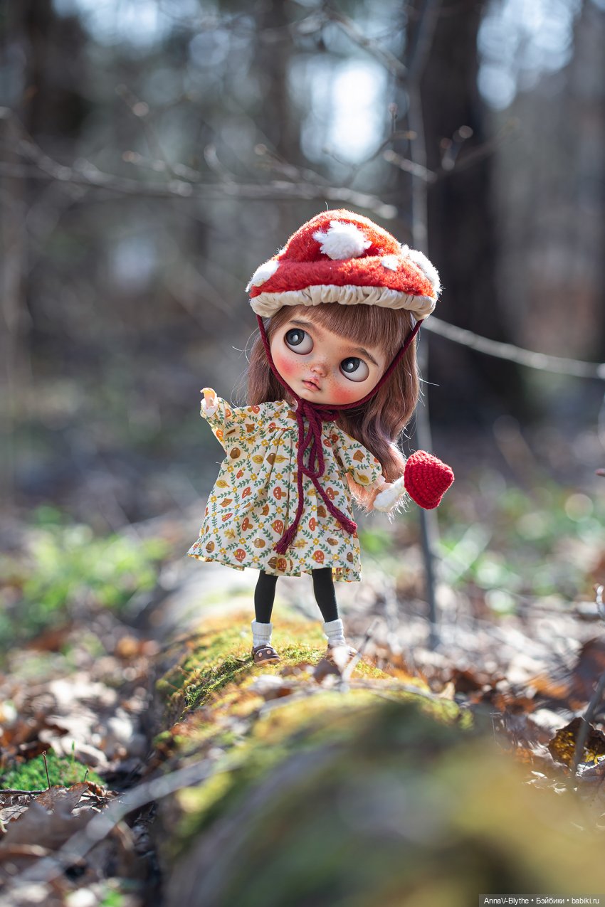 Коллекция кастомов Blythe