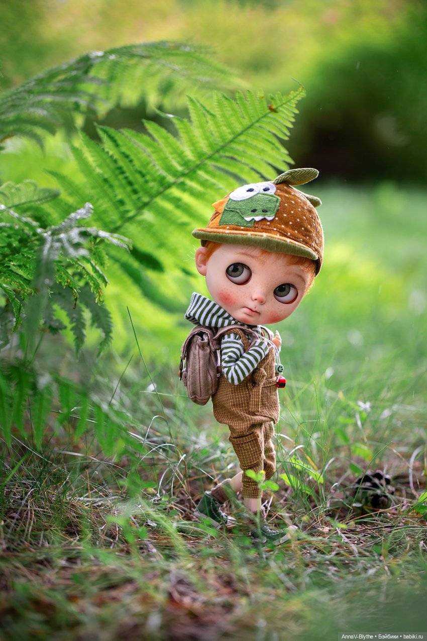 Коллекция кастомов Blythe